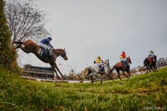 img: Cheltenham Festival – cztery dni wielkiego skakania