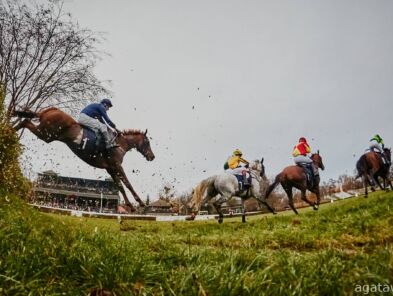 img: Cheltenham Festival – cztery dni wielkiego skakania