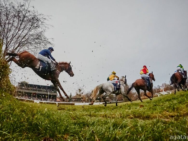 img: Cheltenham Festival – cztery dni wielkiego skakania