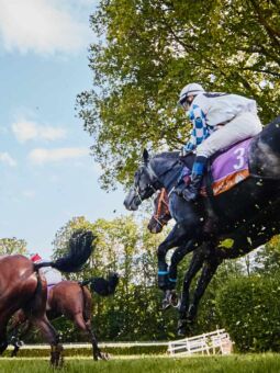 img: St Patrick’s Thursday z niespodziankami