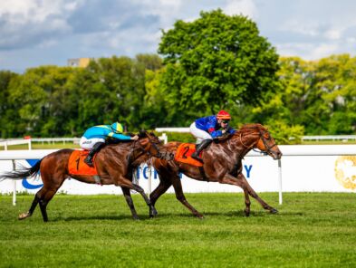 img: Chestnut Rocket drugi w Saint-Cloud, lepszy tylko koń Godolphina