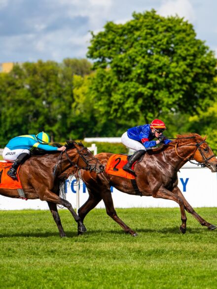 img: Chestnut Rocket drugi w Saint-Cloud, lepszy tylko koń Godolphina