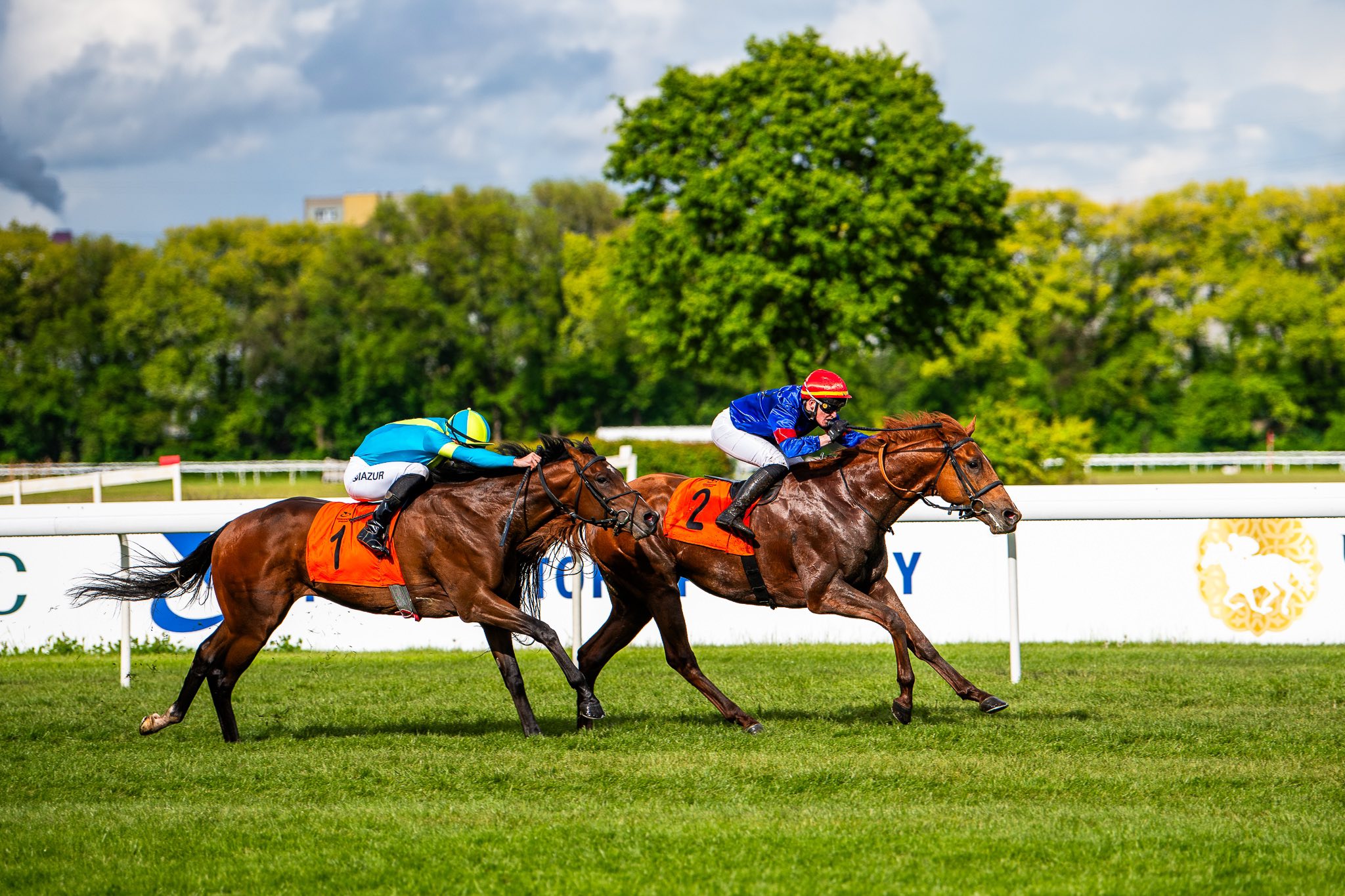img: Chestnut Rocket drugi w Saint-Cloud, lepszy tylko koń Godolphina