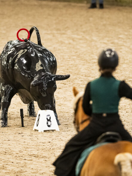 img: Mistrzostwa Polski Working Equitation 10/26