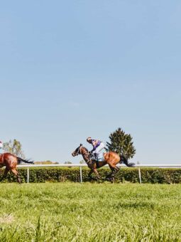 img: W Dubaju faworytom łatwiej na trawie