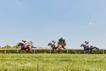 img: W Dubaju faworytom łatwiej na trawie