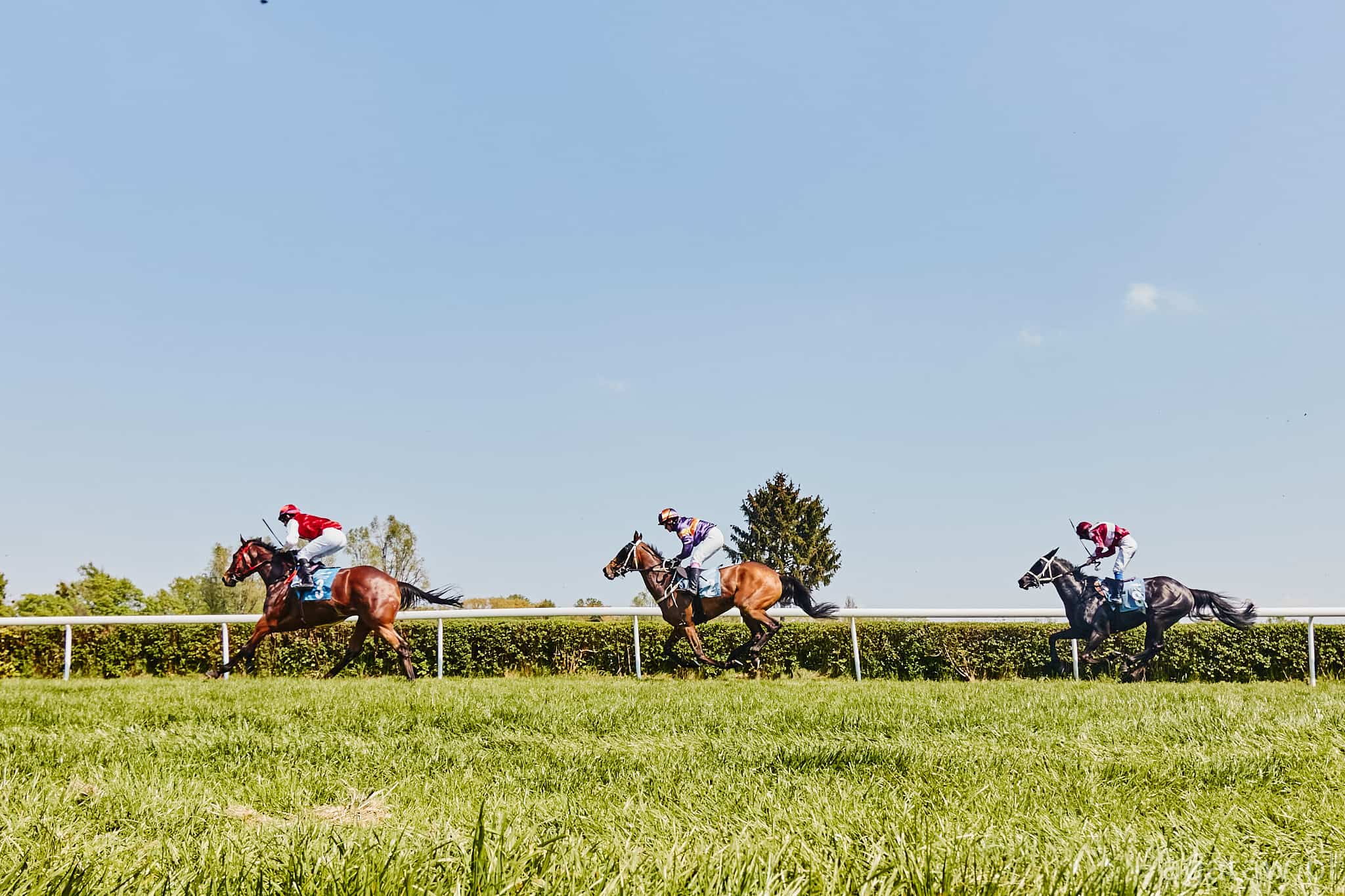 img: W Dubaju faworytom łatwiej na trawie