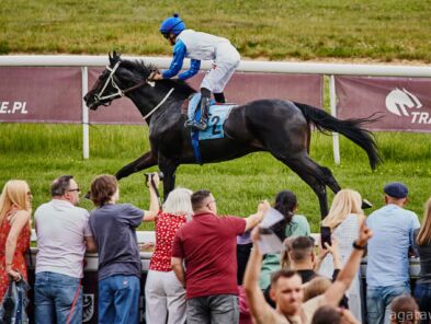 img: Partynicki Naughty Peter ma zgłoszenie do dwóch gonitw G2 w Niemczech