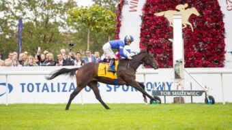 img: Only Luck zgłoszona do German 1000 Guineas