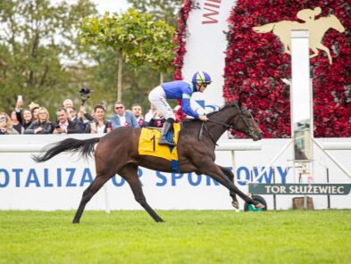 img: Only Luck zgłoszona do German 1000 Guineas