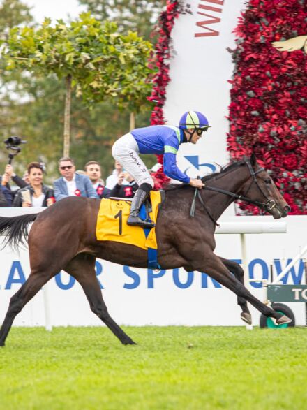 img: Only Luck zgłoszona do German 1000 Guineas