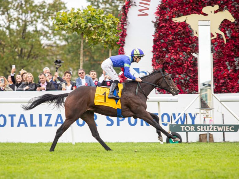 img: Only Luck zgłoszona do German 1000 Guineas