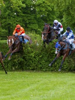 img: Dwóch faworytów, jeden zwycięzca – Gaelic Warrior