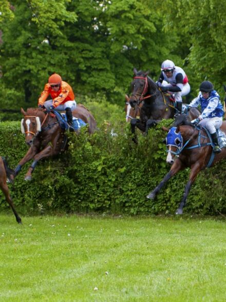 img: Dwóch faworytów, jeden zwycięzca – Gaelic Warrior