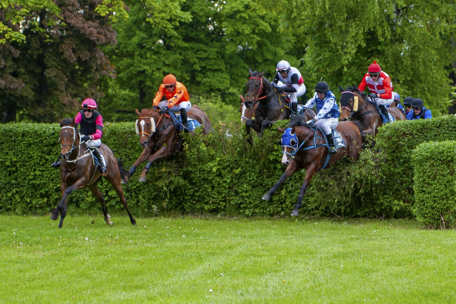 img: Dwóch faworytów, jeden zwycięzca – Gaelic Warrior