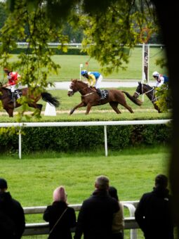 img: Tom Kitten wygrał All-Star Mile i obronił trofeum