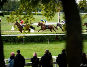 img: Tom Kitten wygrał All-Star Mile i obronił trofeum