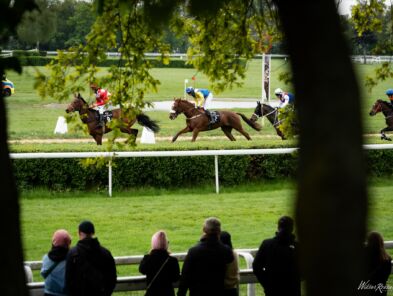 img: Tom Kitten wygrał All-Star Mile i obronił trofeum