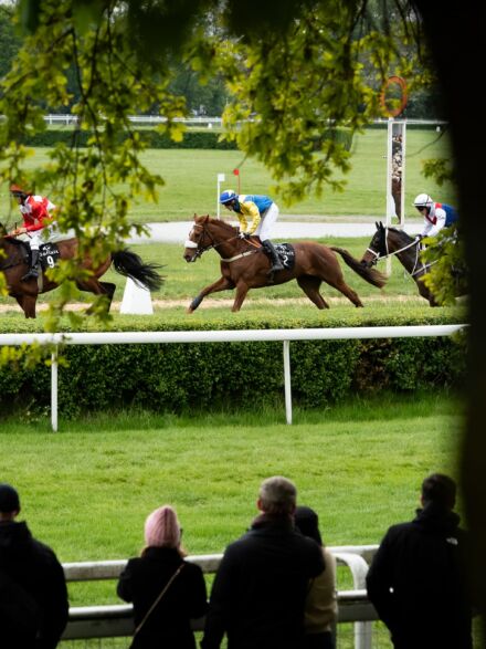 img: Tom Kitten wygrał All-Star Mile i obronił trofeum