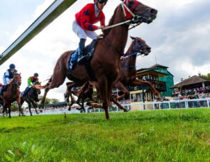 img: Magnitude z miejsca do miejsca, Forever Young bez szans