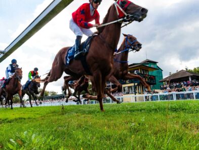 img: Magnitude z miejsca do miejsca, Forever Young bez szans