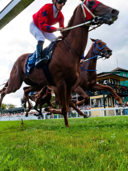 img: Magnitude z miejsca do miejsca, Forever Young bez szans