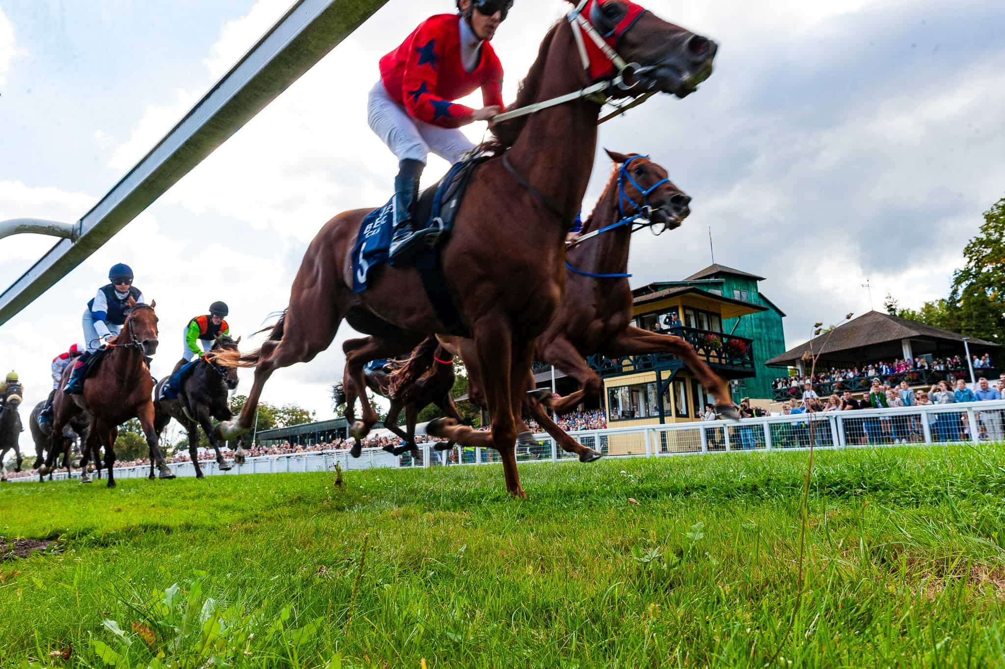 img: Magnitude z miejsca do miejsca, Forever Young bez szans