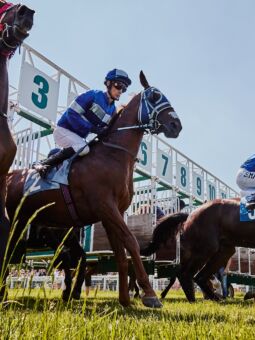 img: Jigsaw gwiazdą Ascot… w Australii