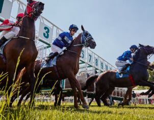 img: Jigsaw gwiazdą Ascot… w Australii