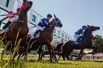 img: Jigsaw gwiazdą Ascot… w Australii