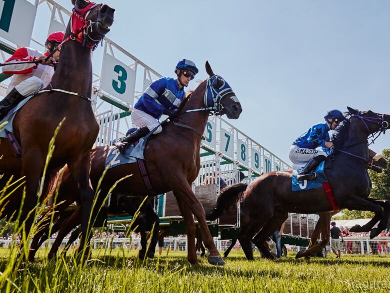 img: Jigsaw gwiazdą Ascot… w Australii