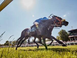 img: Nie ma mocnych na wyścigowych gladiatorów z Hongkongu