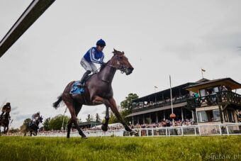 img: Spacerkiem po rekord i seryjne zwycięstwo nr 19