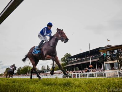 img: Spacerkiem po rekord i seryjne zwycięstwo nr 19