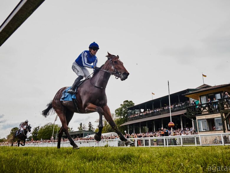 img: Spacerkiem po rekord i seryjne zwycięstwo nr 19