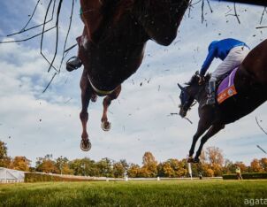 img: I Am Maximus faworytem Grand National