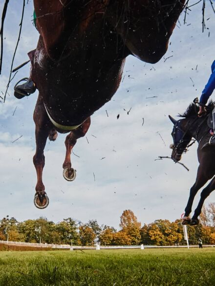 img: I Am Maximus faworytem Grand National