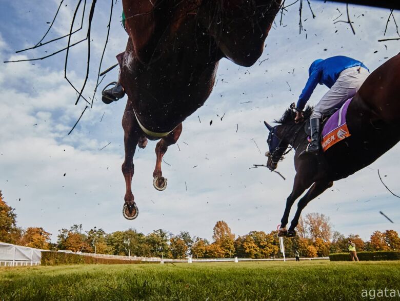 img: I Am Maximus faworytem Grand National