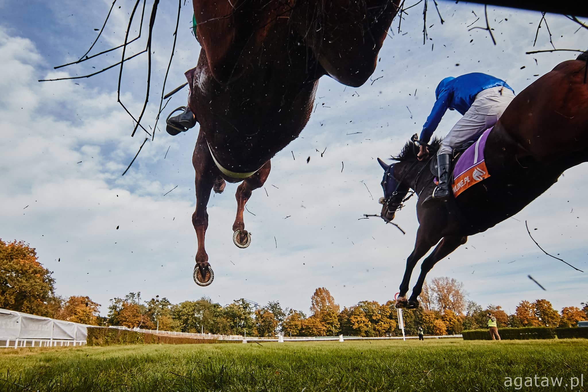 img: I Am Maximus faworytem Grand National