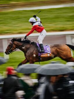 img: Tequila Shot reprezentantem partynickich stajni w otwierającej służewiecki sezon Nagrodzie Dandolo