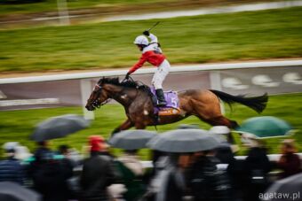 img: Tequila Shot reprezentantem partynickich stajni w otwierającej służewiecki sezon Nagrodzie Dandolo