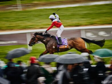 img: Tequila Shot reprezentantem partynickich stajni w otwierającej służewiecki sezon Nagrodzie Dandolo