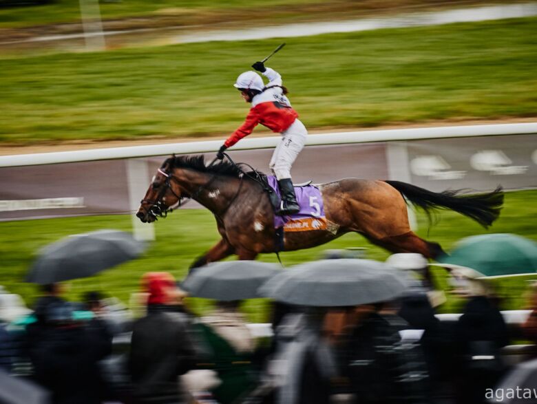 img: Tequila Shot reprezentantem partynickich stajni w otwierającej służewiecki sezon Nagrodzie Dandolo