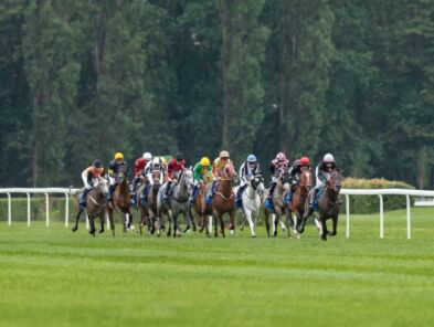 img: Partynicka siódemka na Derby Arabskie