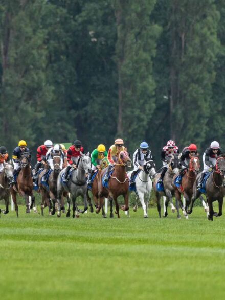 img: Partynicka siódemka na Derby Arabskie