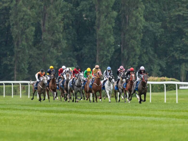 img: Partynicka siódemka na Derby Arabskie