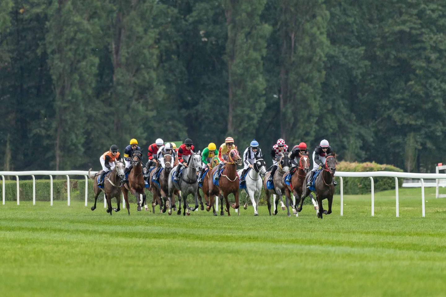 img: Partynicka siódemka na Derby Arabskie