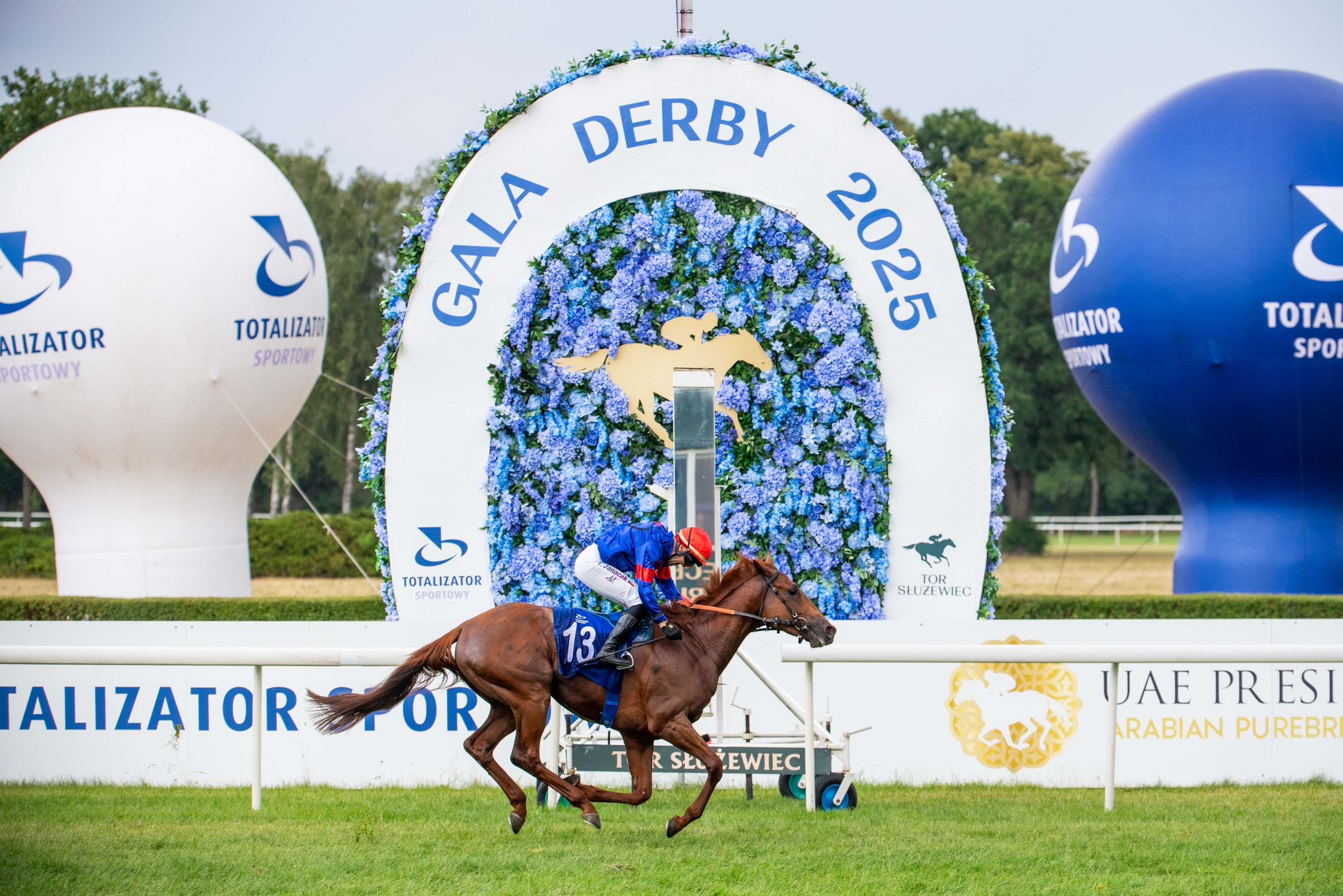 img: Do Derby zostało zgłoszonych pięć koni z Partynic