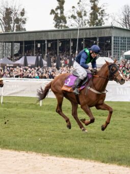 img: It’s Highest otworzył listę zwycięzców sezonu 2026