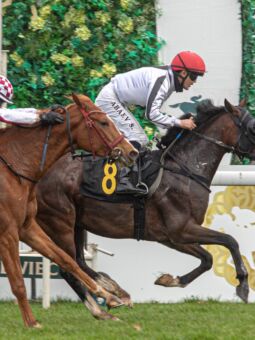 img: Shami Al Khalediah z miejsca do miejsca